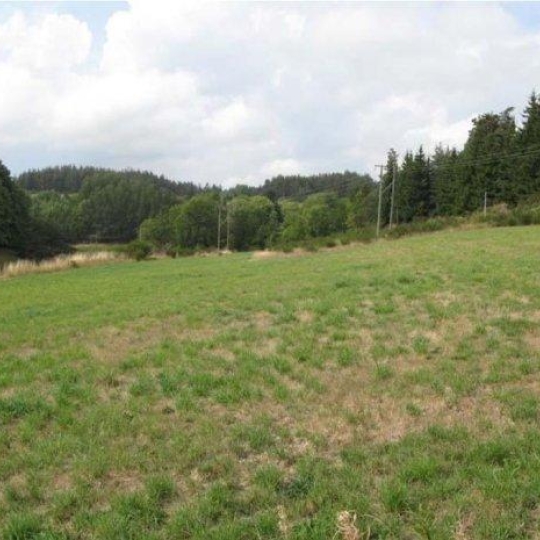  AGENCE IMMOBILIERE LANGONAISE : Terrain | LESPERON (07660) | 4 986 m2 | 16 € 