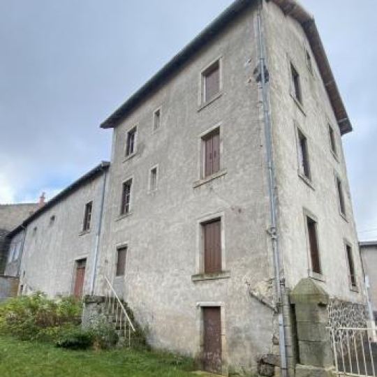  AGENCE IMMOBILIERE LANGONAISE : Immeuble | LANDOS (43340) | 220 m2 | 160 000 € 