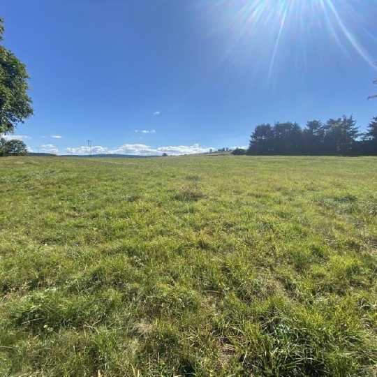 AGENCE IMMOBILIERE LANGONAISE : Terrain | ISSANLAS (07510) | 2261.00m2 | 49 000 € 