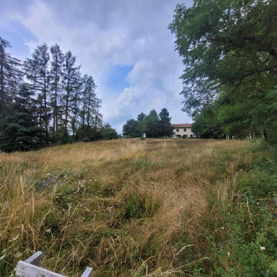  AGENCE IMMOBILIERE LANGONAISE : Terrain | CHAMBON-LE-CHATEAU (48600) | 0 m2 | 24 000 € 