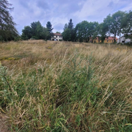  AGENCE IMMOBILIERE LANGONAISE : Terrain | CHAMBON-LE-CHATEAU (48600) | 0 m2 | 24 000 € 