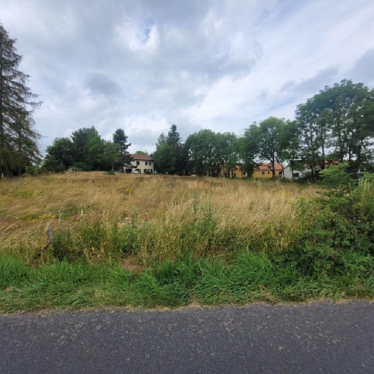  AGENCE IMMOBILIERE LANGONAISE : Terrain | CHAMBON-LE-CHATEAU (48600) | 0 m2 | 24 000 € 