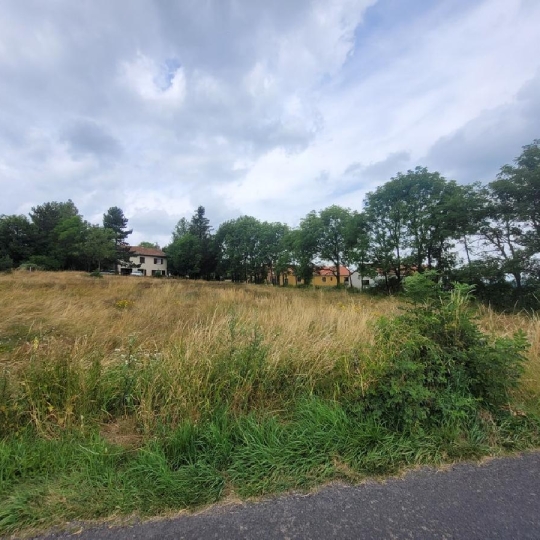  AGENCE IMMOBILIERE LANGONAISE : Terrain | CHAMBON-LE-CHATEAU (48600) | 0 m2 | 24 000 € 