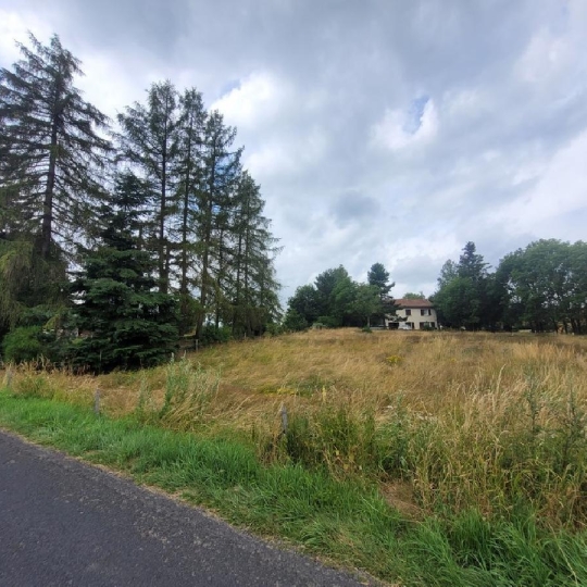  AGENCE IMMOBILIERE LANGONAISE : Terrain | CHAMBON-LE-CHATEAU (48600) | 0 m2 | 24 000 € 
