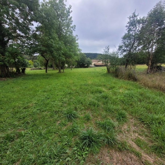  AGENCE IMMOBILIERE LANGONAISE : Maison / Villa | LAVAL-ATGER (48600) | 240 m2 | 79 000 € 