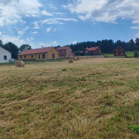  AGENCE IMMOBILIERE LANGONAISE : Terrain | CHAMBON-LE-CHATEAU (48600) | 1 150 m2 | 20 250 € 