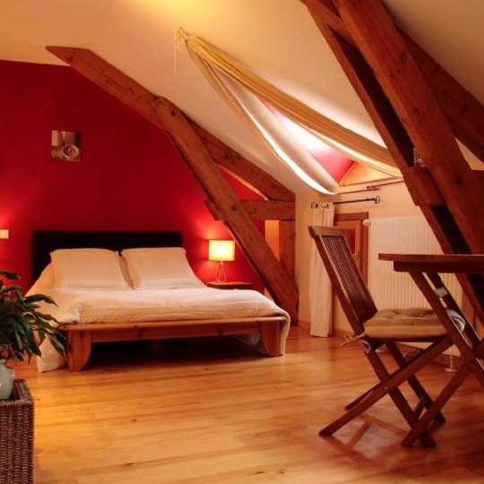  AGENCE IMMOBILIERE LANGONAISE : House | CHATEAUNEUF-DE-RANDON (48170) | 404 m2 | 570 000 € 