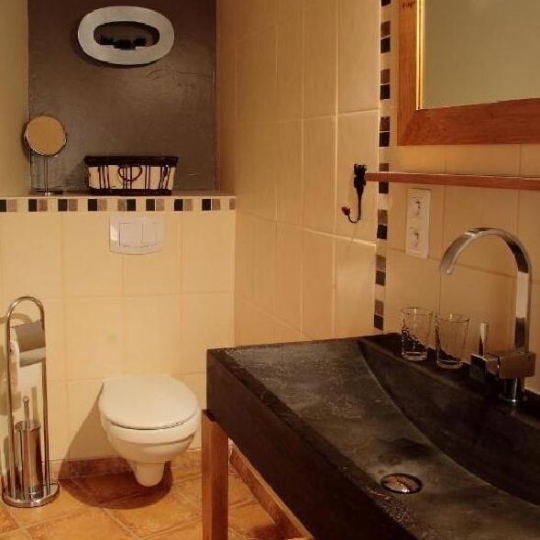  AGENCE IMMOBILIERE LANGONAISE : House | CHATEAUNEUF-DE-RANDON (48170) | 404 m2 | 570 000 € 