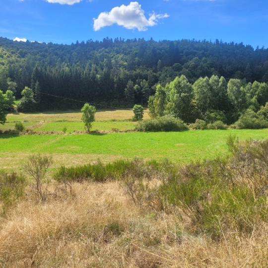  AGENCE IMMOBILIERE LANGONAISE : Terrain | PIERREFICHE (48300) | 4 839 m2 | 35 000 € 