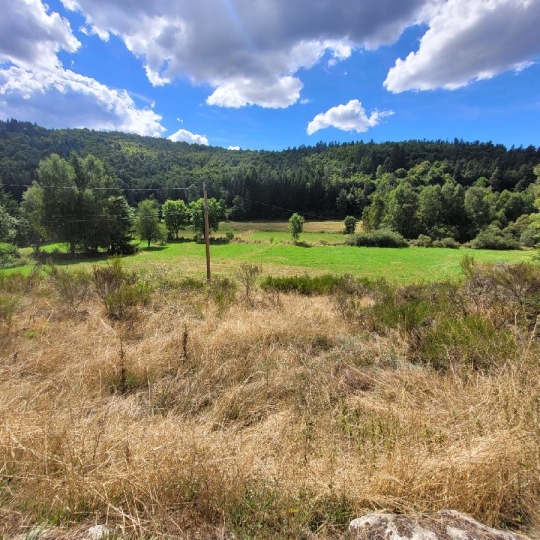  AGENCE IMMOBILIERE LANGONAISE : Terrain | PIERREFICHE (48300) | 4 839 m2 | 35 000 € 
