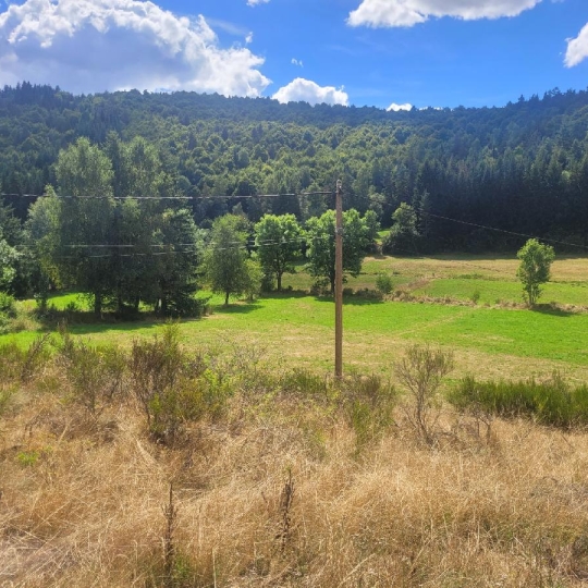  AGENCE IMMOBILIERE LANGONAISE : Terrain | PIERREFICHE (48300) | 4 839 m2 | 35 000 € 