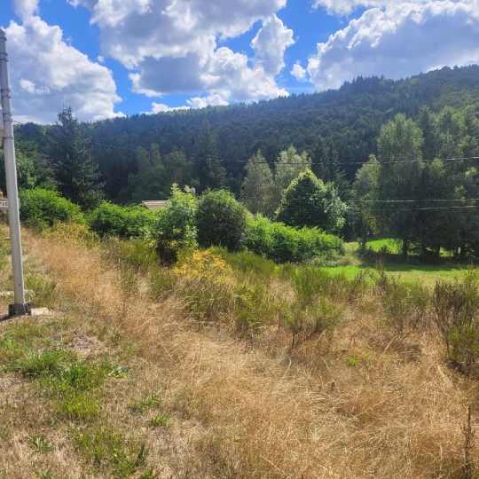  AGENCE IMMOBILIERE LANGONAISE : Terrain | PIERREFICHE (48300) | 4 839 m2 | 35 000 € 