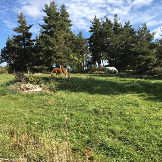 AGENCE IMMOBILIERE LANGONAISE : Maison / Villa | CHAUDEYRAC (48170) | 104 m2 | 199 000 € 