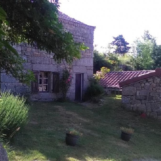  AGENCE IMMOBILIERE LANGONAISE : Maison / Villa | CHASTANIER (48300) | 284 m2 | 295 000 € 