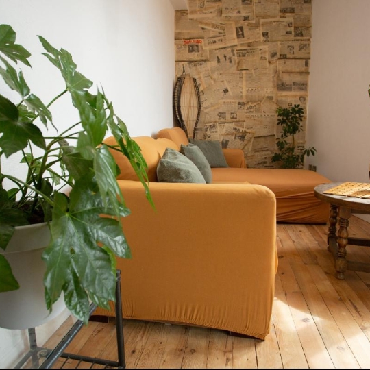  AGENCE IMMOBILIERE LANGONAISE : Local / Bureau | SAINT-ALBAN-SUR-LIMAGNOLE (48120) | 232 m2 | 283 000 € 