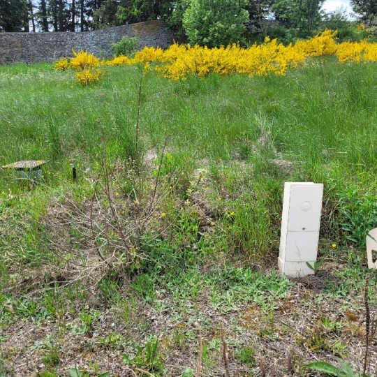  AGENCE IMMOBILIERE LANGONAISE : Terrain | LANGOGNE (48300) | 732 m2 | 34 940 € 