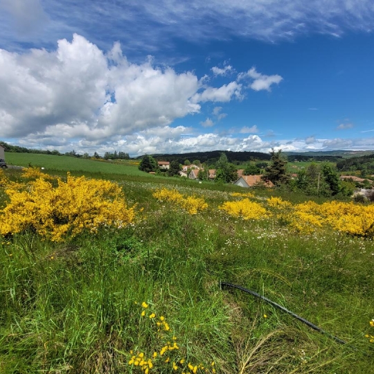  AGENCE IMMOBILIERE LANGONAISE : Terrain | LANGOGNE (48300) | 732 m2 | 34 940 € 