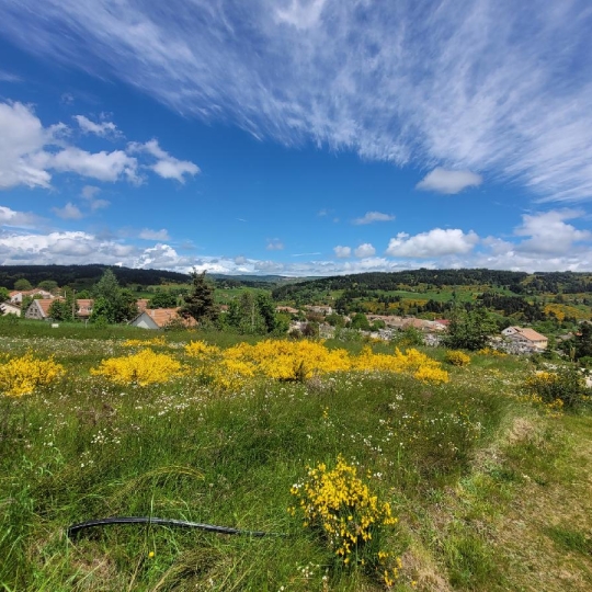  AGENCE IMMOBILIERE LANGONAISE : Terrain | LANGOGNE (48300) | 732 m2 | 34 940 € 
