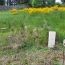  AGENCE IMMOBILIERE LANGONAISE : Terrain | LANGOGNE (48300) | 732 m2 | 34 940 € 