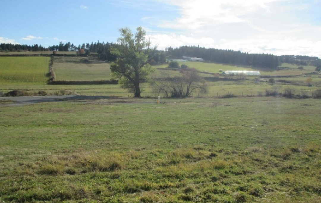 AGENCE IMMOBILIERE LANGONAISE : Terrain | GRANDRIEU (48600) | 1 047 m2 | 39 300 € 