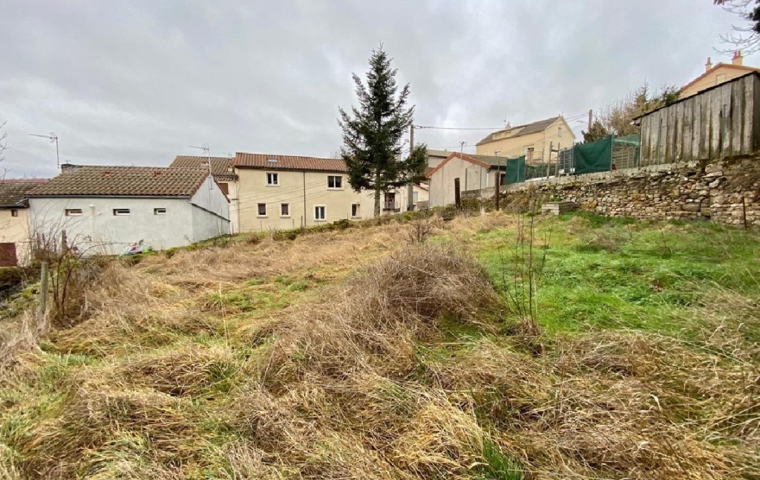 AGENCE IMMOBILIERE LANGONAISE : Terrain | LANGOGNE (48300) | 0 m2 | 10 000 € 