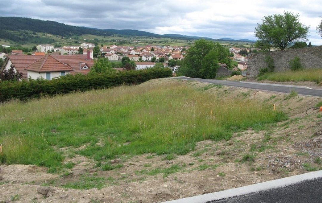 AGENCE IMMOBILIERE LANGONAISE : Ground | LANGOGNE (48300) | 724 m2 | 34 940 € 