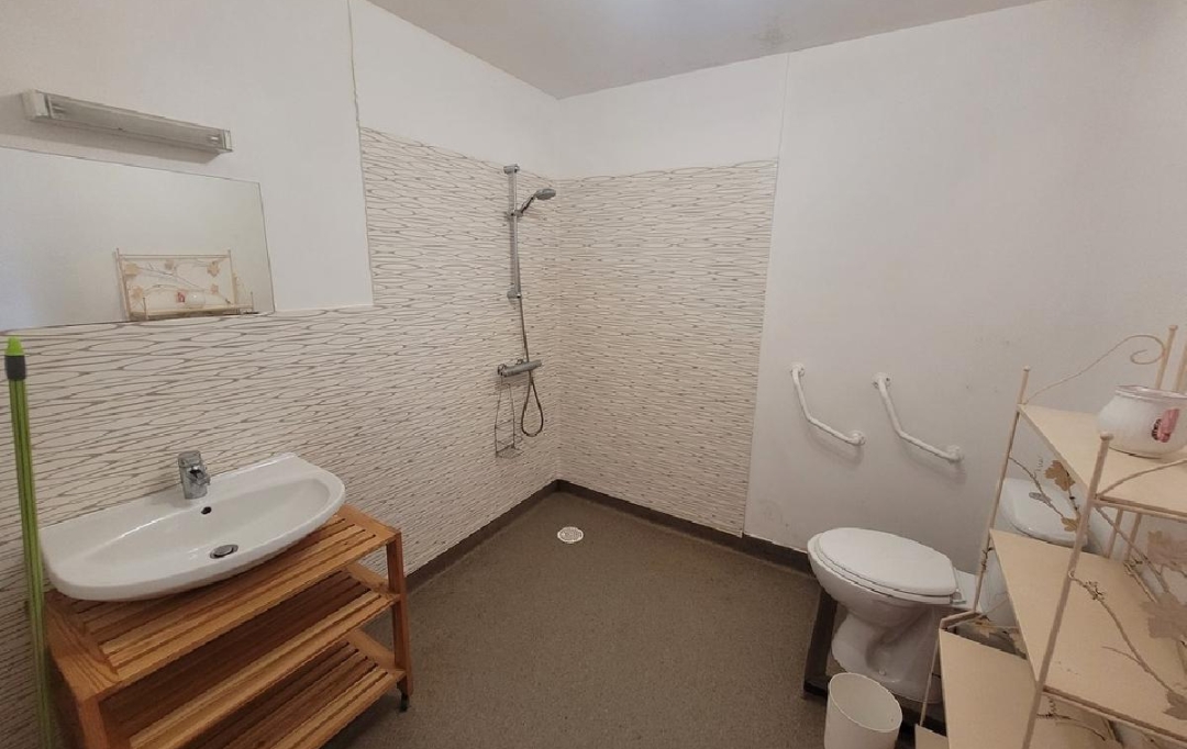 AGENCE IMMOBILIERE LANGONAISE : Maison / Villa | SAINT-CHRISTOPHE-D'ALLIER (43340) | 291 m2 | 390 000 € 