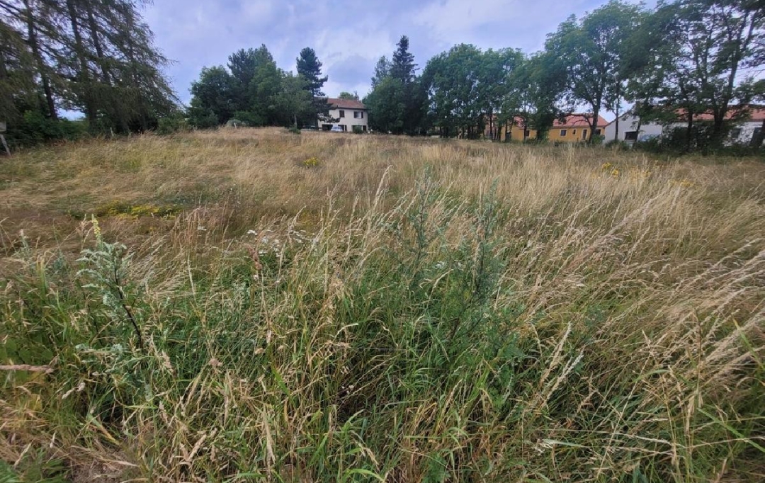AGENCE IMMOBILIERE LANGONAISE : Terrain | CHAMBON-LE-CHATEAU (48600) | 0 m2 | 24 000 € 