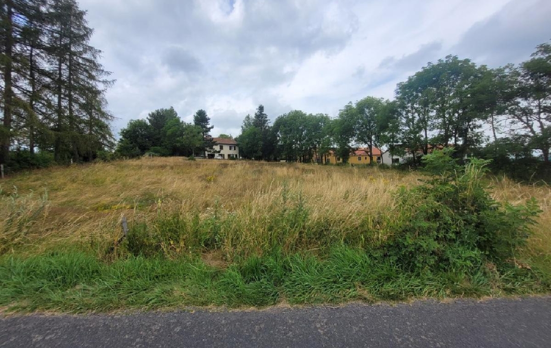 AGENCE IMMOBILIERE LANGONAISE : Terrain | CHAMBON-LE-CHATEAU (48600) | 0 m2 | 24 000 € 