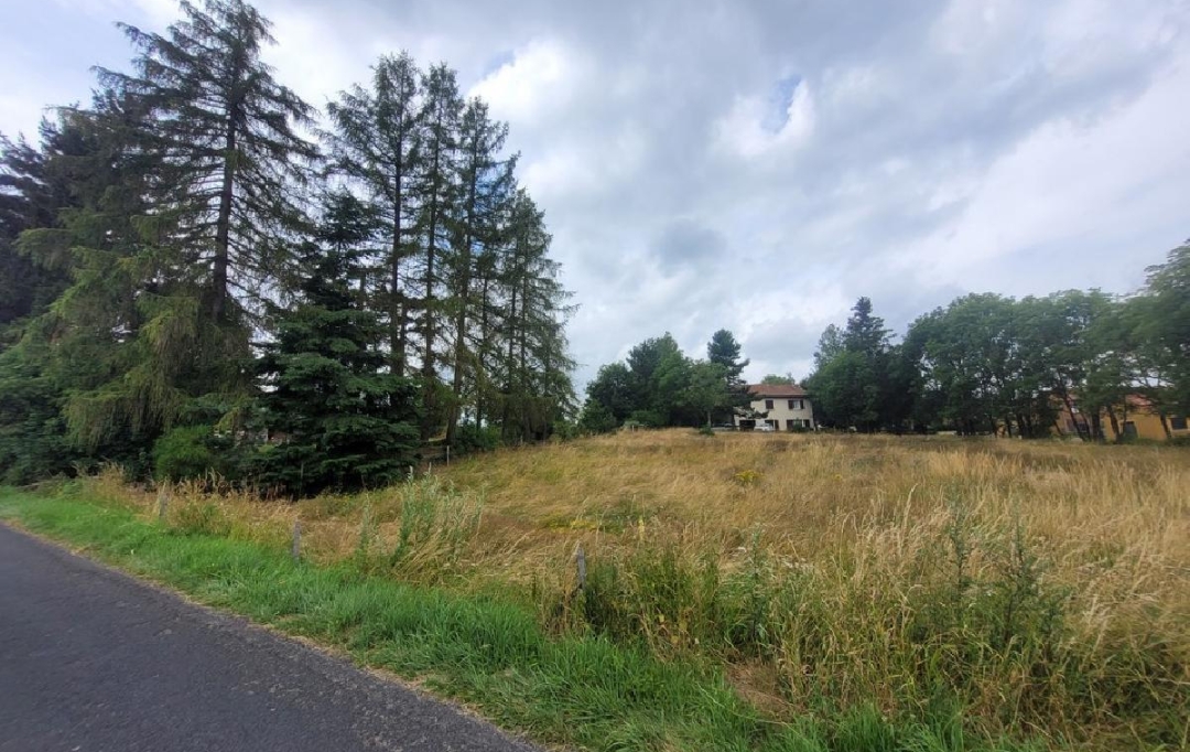 AGENCE IMMOBILIERE LANGONAISE : Terrain | CHAMBON-LE-CHATEAU (48600) | 0 m2 | 24 000 € 