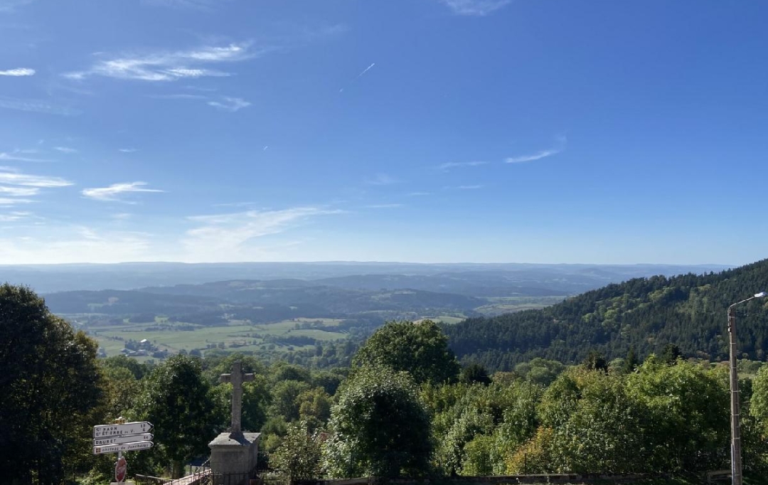 AGENCE IMMOBILIERE LANGONAISE : Immeuble | PRADELLES (43420) | 165 m2 | 72 500 € 