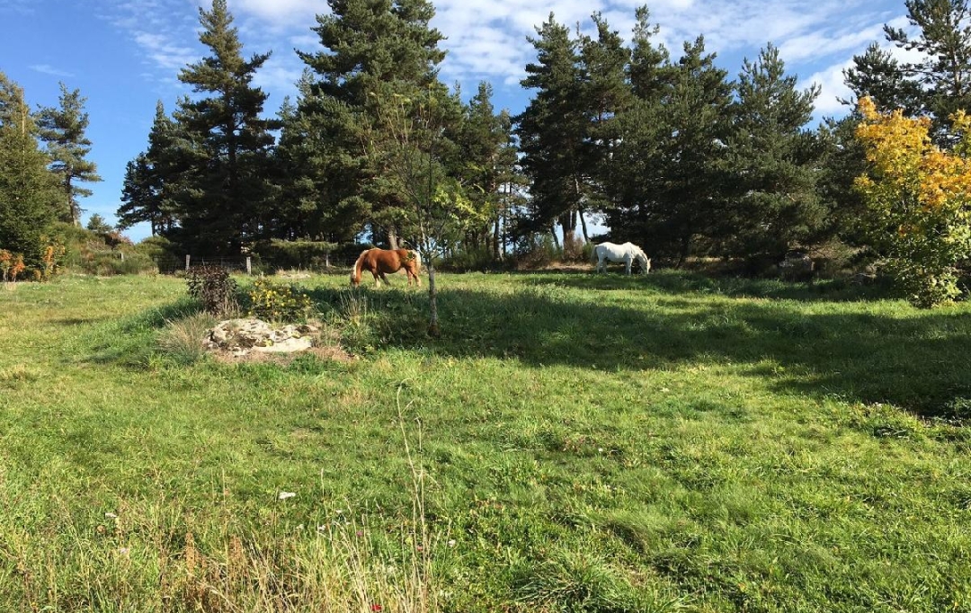 AGENCE IMMOBILIERE LANGONAISE : Maison / Villa | CHAUDEYRAC (48170) | 104 m2 | 220 000 € 