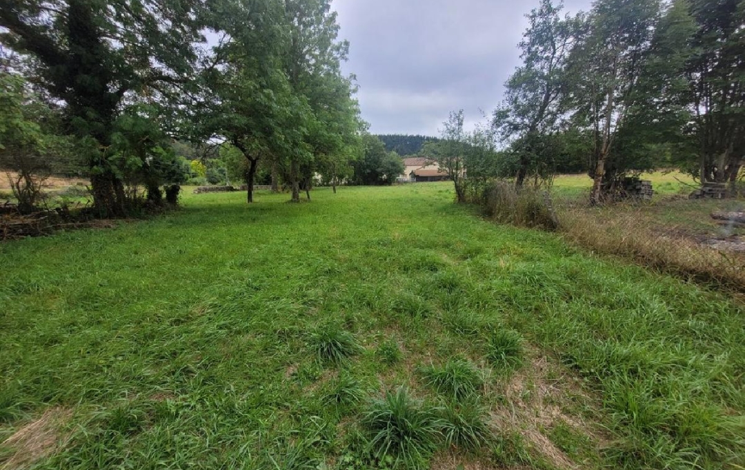 AGENCE IMMOBILIERE LANGONAISE : Maison / Villa | LAVAL-ATGER (48600) | 240 m2 | 79 000 € 