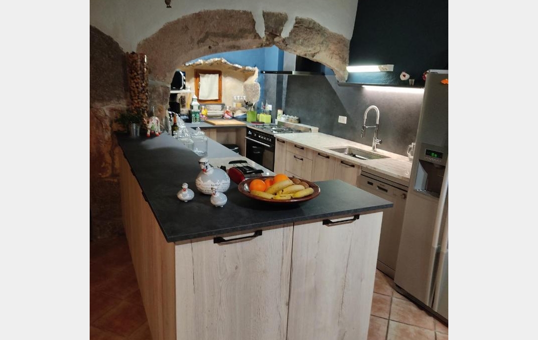 AGENCE IMMOBILIERE LANGONAISE : House | CHATEAUNEUF-DE-RANDON (48170) | 404 m2 | 570 000 € 