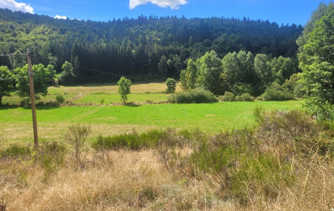AGENCE IMMOBILIERE LANGONAISE : Terrain | PIERREFICHE (48300) | 4 839 m2 | 35 000 € 