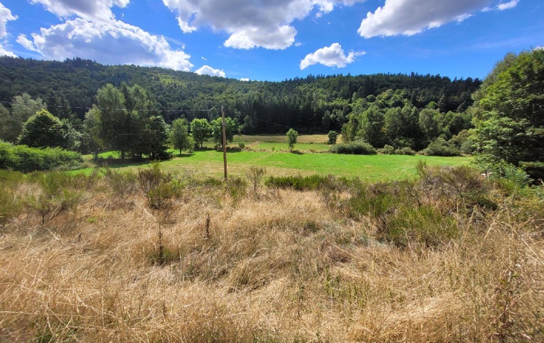 AGENCE IMMOBILIERE LANGONAISE : Terrain | PIERREFICHE (48300) | 4 839 m2 | 35 000 € 