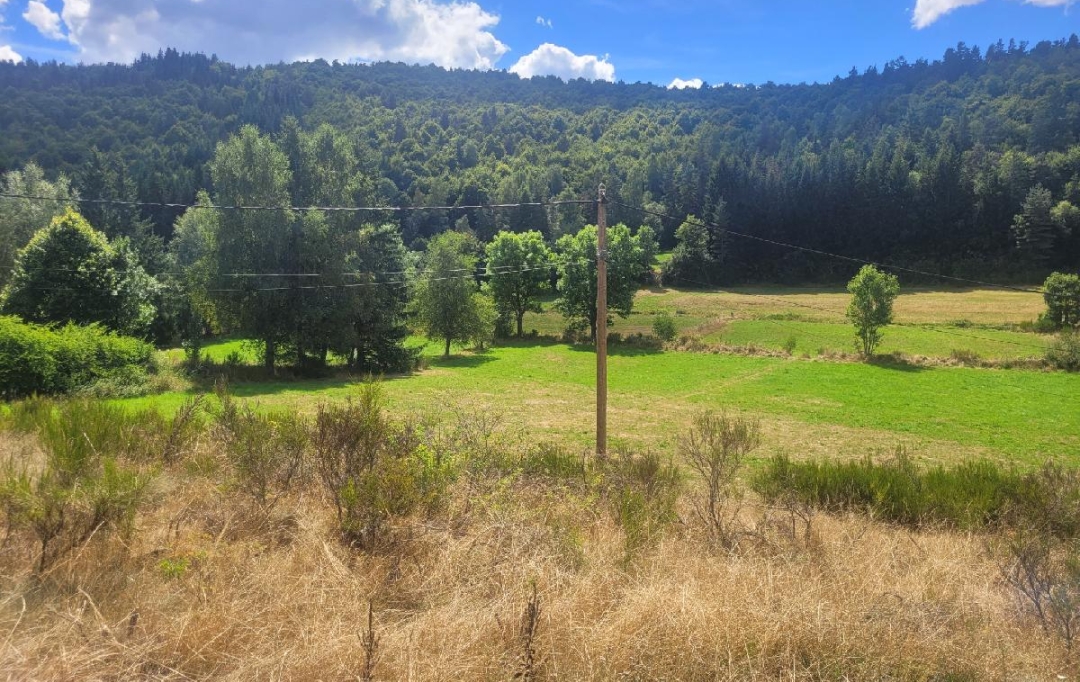 AGENCE IMMOBILIERE LANGONAISE : Terrain | PIERREFICHE (48300) | 4 839 m2 | 35 000 € 