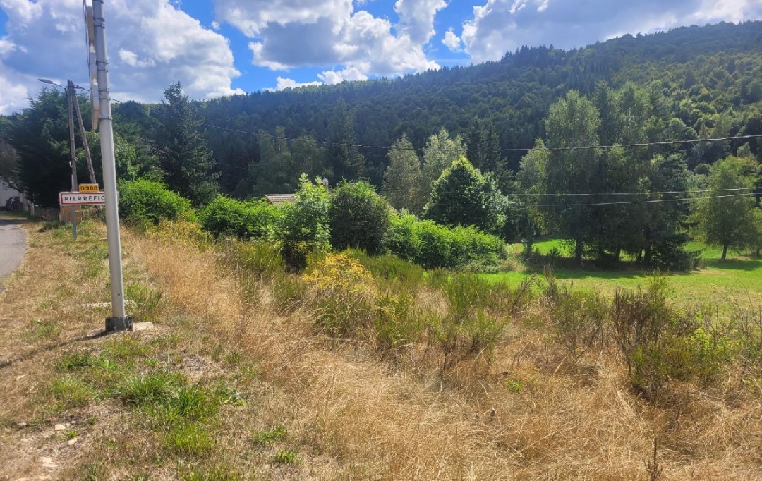 AGENCE IMMOBILIERE LANGONAISE : Terrain | PIERREFICHE (48300) | 4 839 m2 | 35 000 € 