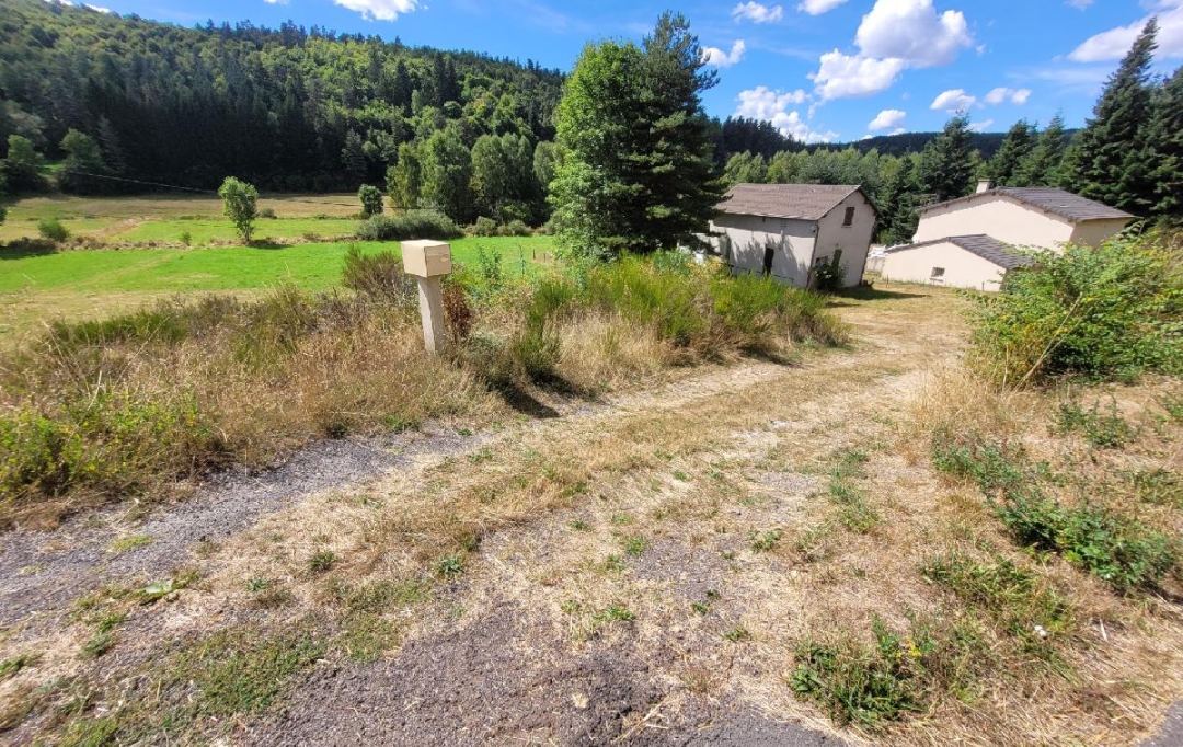 AGENCE IMMOBILIERE LANGONAISE : Terrain | PIERREFICHE (48300) | 4 839 m2 | 35 000 € 