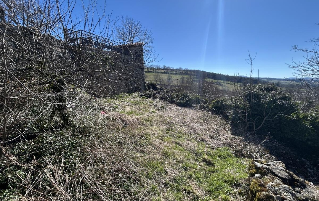 AGENCE IMMOBILIERE LANGONAISE : Ground | PRADELLES (43420) | 493 m2 | 33 000 € 
