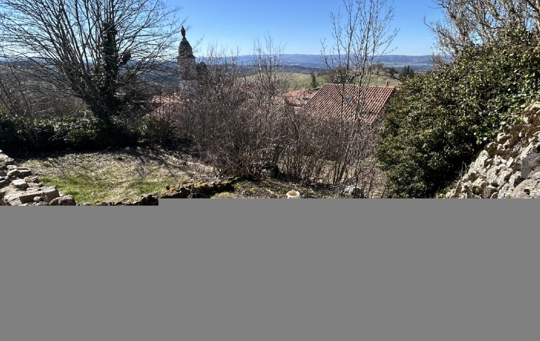 AGENCE IMMOBILIERE LANGONAISE : Ground | PRADELLES (43420) | 493 m2 | 33 000 € 