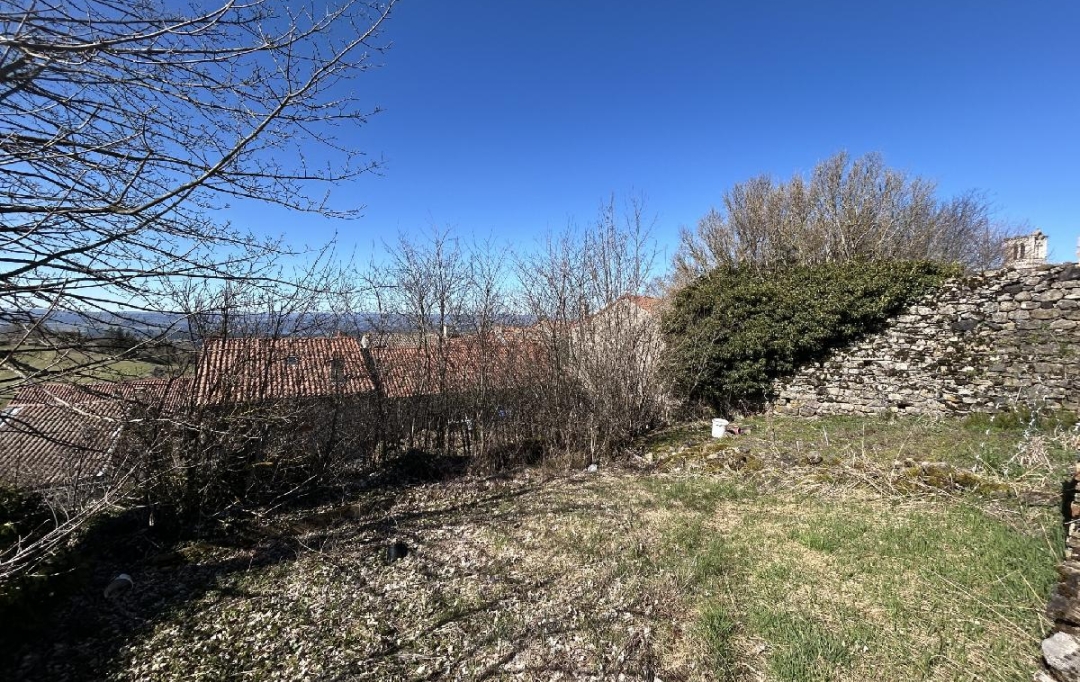 AGENCE IMMOBILIERE LANGONAISE : Ground | PRADELLES (43420) | 493 m2 | 33 000 € 