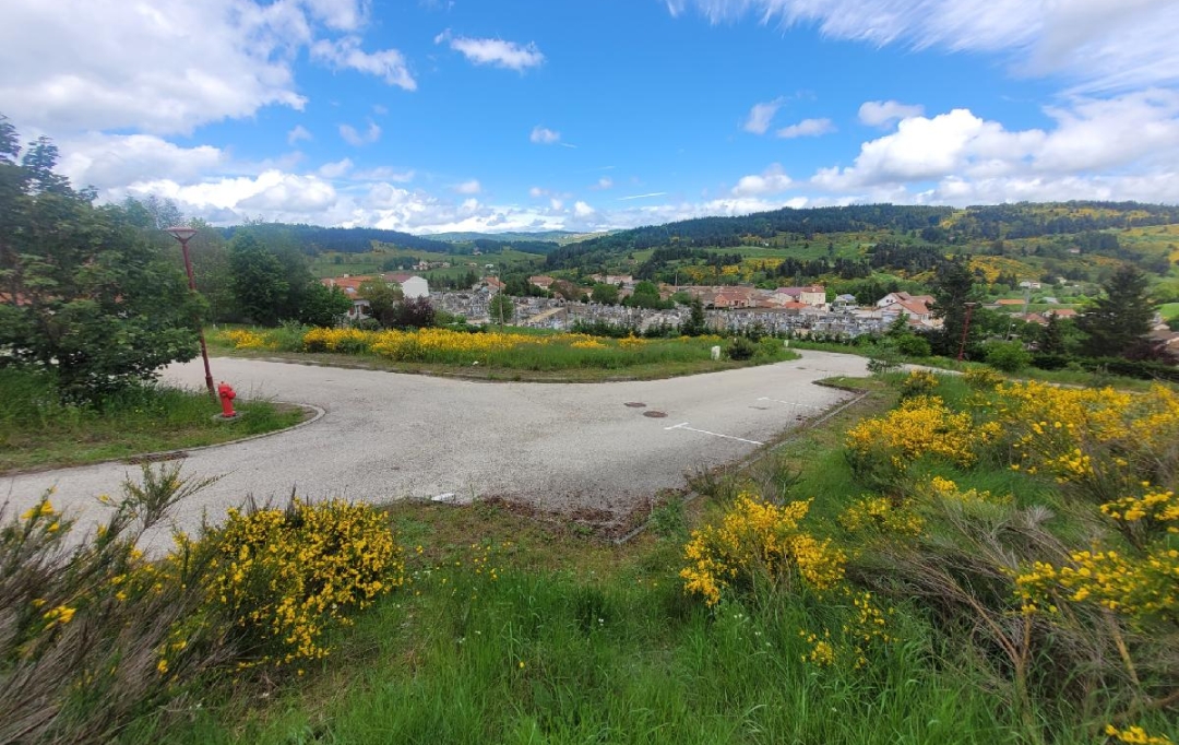 AGENCE IMMOBILIERE LANGONAISE : Terrain | LANGOGNE (48300) | 732 m2 | 34 940 € 