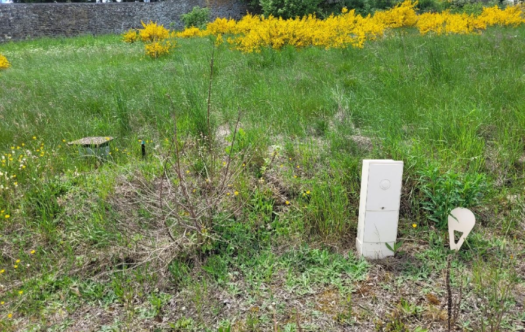 AGENCE IMMOBILIERE LANGONAISE : Terrain | LANGOGNE (48300) | 732 m2 | 34 940 € 