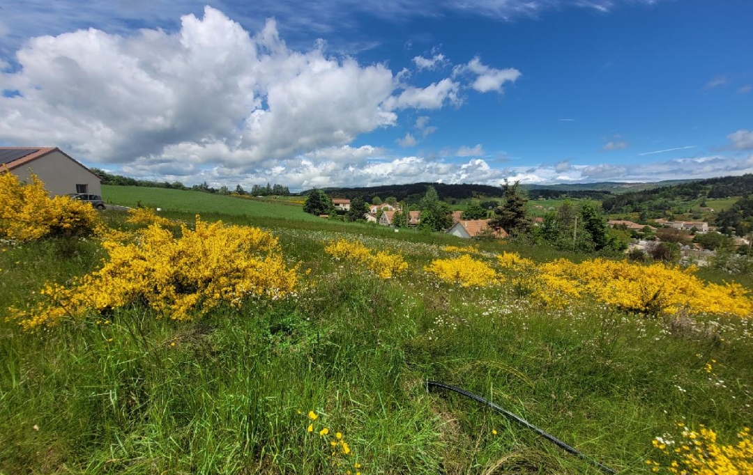 AGENCE IMMOBILIERE LANGONAISE : Terrain | LANGOGNE (48300) | 732 m2 | 34 940 € 