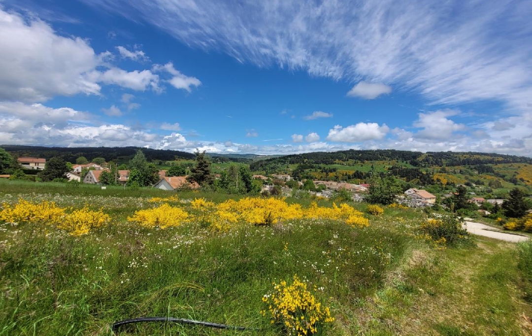 AGENCE IMMOBILIERE LANGONAISE : Terrain | LANGOGNE (48300) | 732 m2 | 34 940 € 