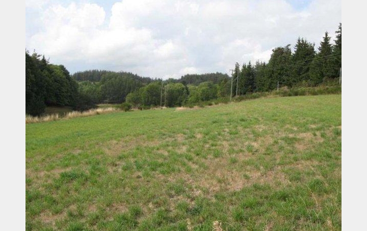 AGENCE IMMOBILIERE LANGONAISE : Terrain | LESPERON (07660) | 4 986 m2 | 16 € 