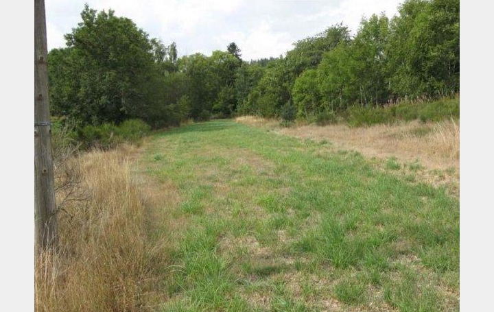 AGENCE IMMOBILIERE LANGONAISE : Terrain | LESPERON (07660) | 4 986 m2 | 16 € 