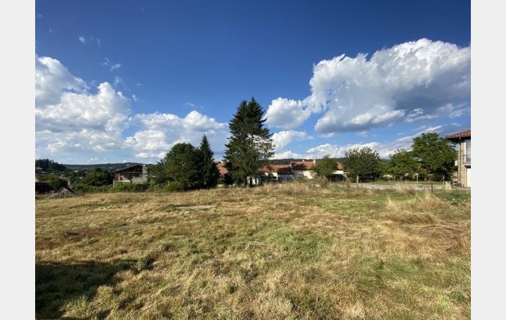 AGENCE IMMOBILIERE LANGONAISE : Ground | LANGOGNE (48300) | 1 047 m2 | 45 000 € 