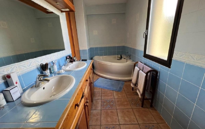 AGENCE IMMOBILIERE LANGONAISE : Maison / Villa | CHATEAUNEUF-DE-RANDON (48170) | 157 m2 | 220 000 € 
